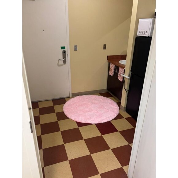 NEW Pink Round Rugs for Bedroom – Soft, Fluffy & Washable 4x4 Area Rugs for Home - Picture 9 of 13